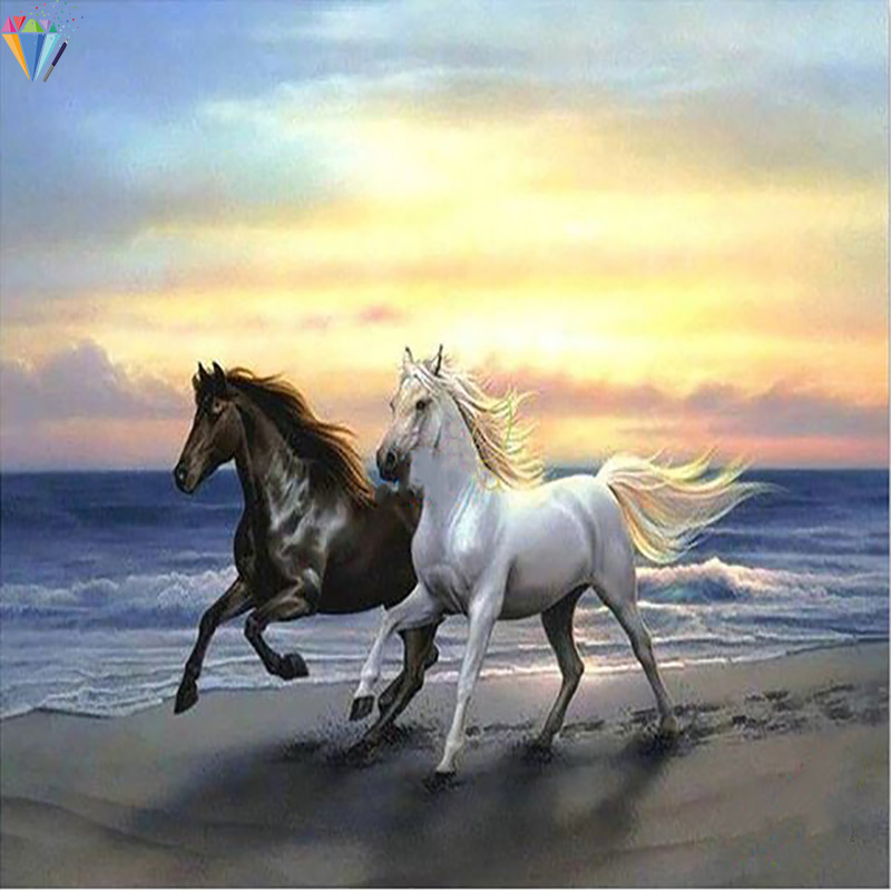 Straat pot Zoeken 1 Zwart,1 wit paard – My Diamond Painting